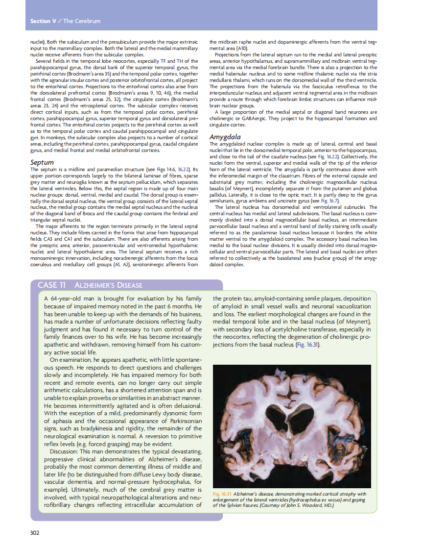 GRAY'S Clinical Neuroanatomy The Anatomic Basis for Clinical Neuroscience_部分13.pdf 第4页