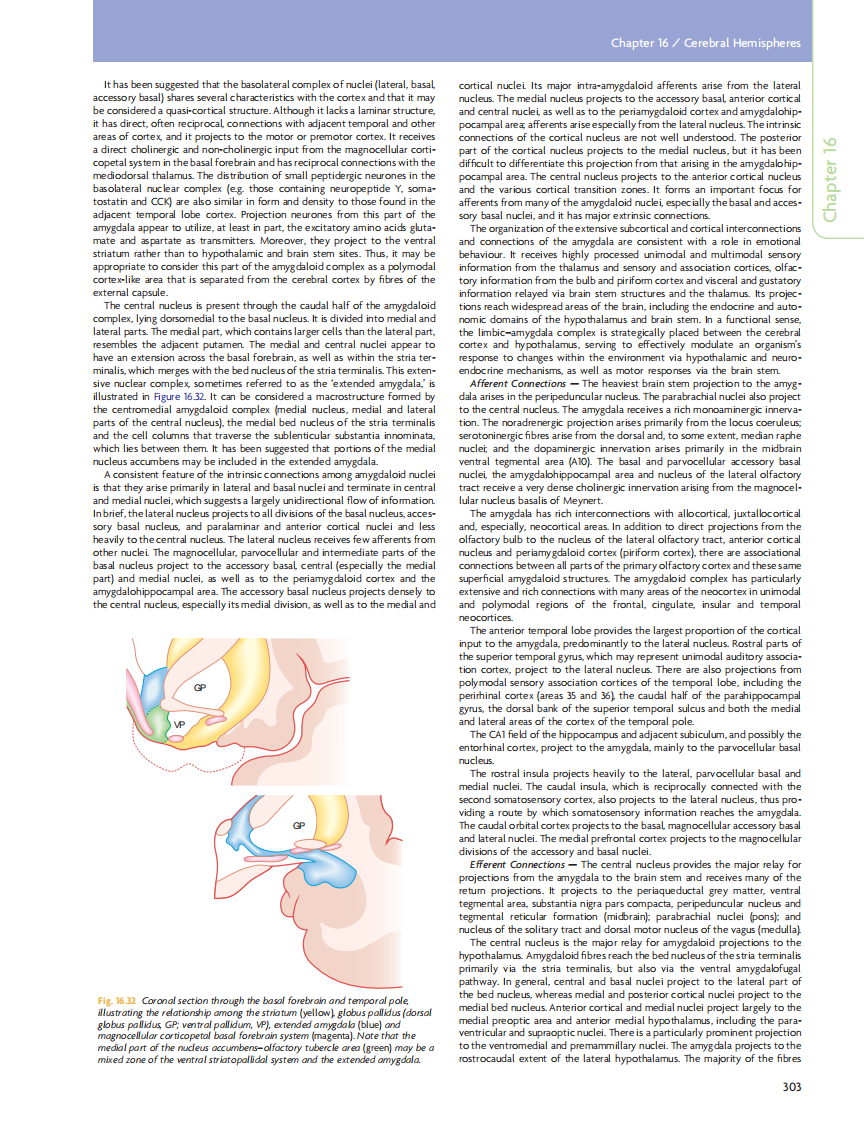 GRAY'S Clinical Neuroanatomy The Anatomic Basis for Clinical Neuroscience_部分13.pdf 第5页