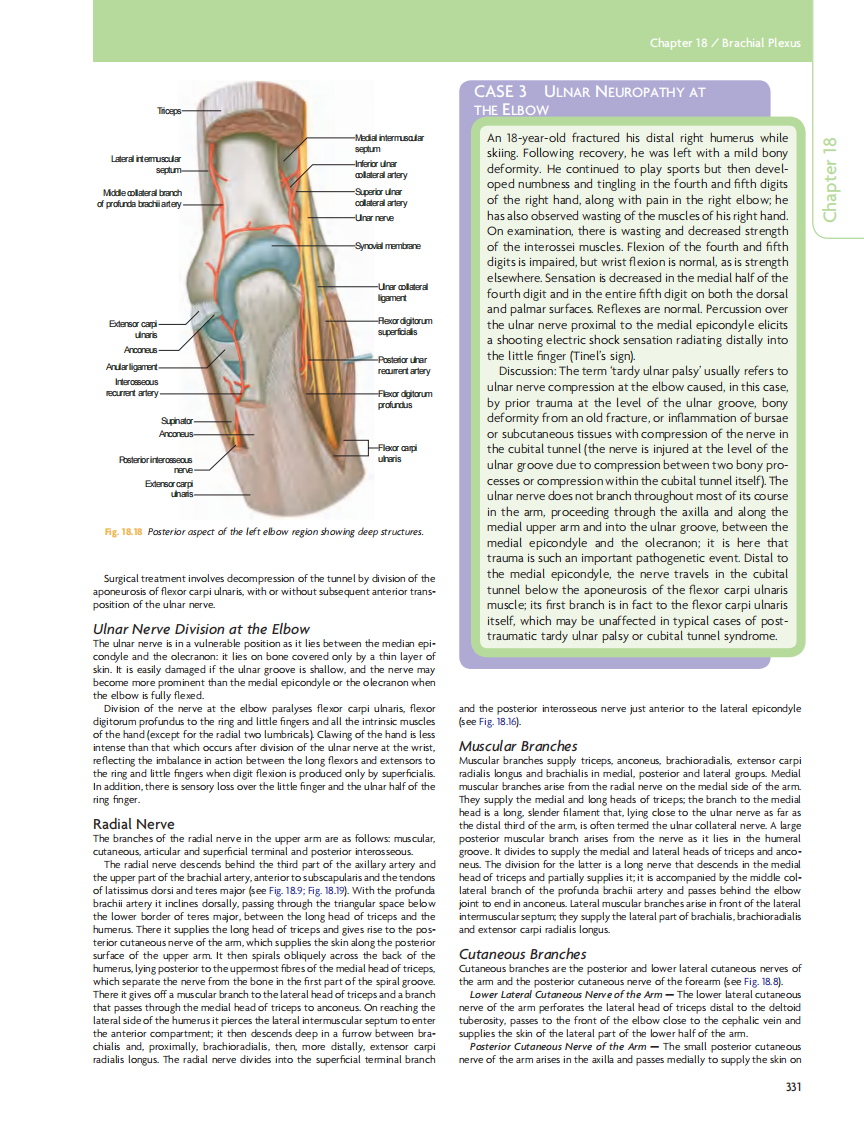 GRAY'S Clinical Neuroanatomy The Anatomic Basis for Clinical Neuroscience_部分14.pdf 第4页