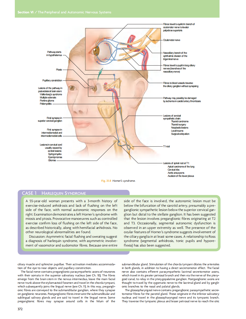 GRAY'S Clinical Neuroanatomy The Anatomic Basis for Clinical Neuroscience_部分15.pdf 第2页